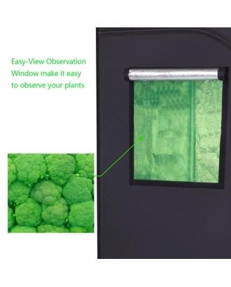 LY-80*80*160cm Home Use Dismountable Hydroponic Plant Growing Tent with Window Green & Black